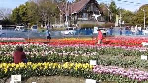 公園：北島中央公園　3203m