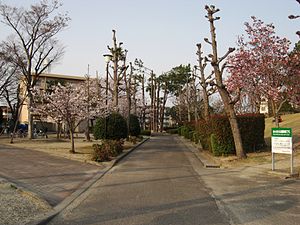 公園：田宮公園　800m
